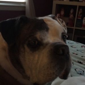 Meet your Posher, Mary ann